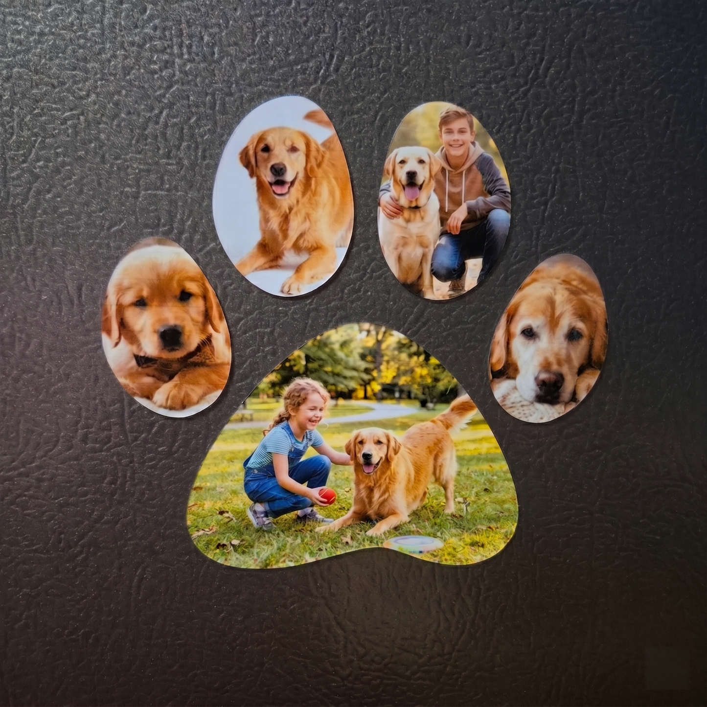Magnetic Memorial Dog/Cat Photos with Paw Shape